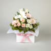 Media 1 - Blush Blossoms
