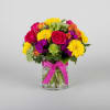 Media 1 - Colourful Blooms