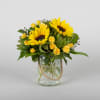 Media 1 - Spring Sunflowers