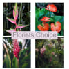 Media 1 - Florists Choice