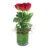 Media 1 - 6 Red Roses in Vase