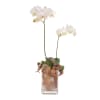 Media 1 - Floral arrangement with white orchid