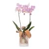 Media 1 - Floral arrangement with pink orchid