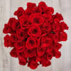 Media 1 - 36 Red Roses Bunch