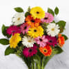 Media 1 - Mixed Gerbera Bunch