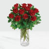 Media 1 - 12 Red Roses In Vase