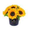 Media 1 - Sunflower Rosatel Hatbox