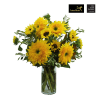 Media 1 - Van Gogh Sunflowers