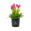Media 1 - Rosatel Tulip Hatbox