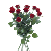 Media 1 - 12 Medium Red Stem Roses