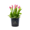 Media 5 - Rosatel Tulip Hatbox