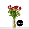 Media 1 - 12 roses medium stemmed