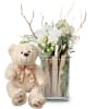 Media 1 - Lifestyle (orchid in a vase) with teddy bear