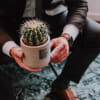 Media 4 - Voici Jack (Echinocactus grusonii)