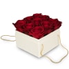 Media 1 - Flowerbox «Venice» (15 cm)