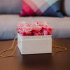 Media 1 - Flowerbox «Lucerne»  (15 cm)