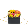 Media 4 - Flowerbox «Cuzco» (15 cm)