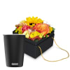 Media 1 - Boîte à fleurs «Cuzco» (15 cm) avec gobelet de SIGG NESO Cup Pure Ceram Black 0.3L