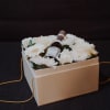 Media 6 - Flowerbox «Mykonos» (20 cm) with Prosecco Albino Armani DOC (20 cl)