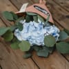 Media 4 - Blooms for you «Amelia»