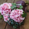 Media 3 - Blooms for you «Eva»
