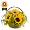 Media 1 - Arrangement de tournesols avec des fleurs suisses