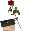 Media 1 - 1 Red Rose with Munz bar of chocolate «Heart»