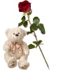 Media 1 - 1 rose rouge avec ours en peluche