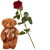 Media 1 - 1 rote Rose mit Teddybär