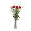 Media 1 - 3 rose rosse con verde