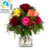 Media 1 - Magie de roses avec roses Fairtrade Max Havelaar