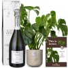 Media 1 - This is James (Monstera) with Prosecco Albino Armani DOC (75 cl)