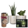 Media 1 - Set of baby plants for men «Little Heroes» with Gottlieber cocoa almonds and hanging gift tag «Thank You»