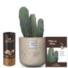 Media 1 - This is Max (Myrtillocactus) with Gottlieber cocoa almonds