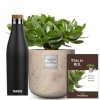 Media 1 - Questo è Bill (Crassula ovata) con borraccia di SIGG Meridian Black 0.5L