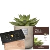 Media 1 - This is Freddy (Echeveria) with Munz bar of chocolate «Heart»