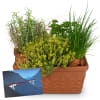 Media 1 - Herb Box with a CHF 50.- gift voucher from the Rhaetian Railway