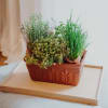 Media 2 - Herb Box (planted)