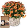 Media 1 - Autumn Magic (orange chrysanthemum) with Honey & Sweet gift box from Bee-Family & Gottlieber