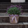 Media 2 - A basket of lavender