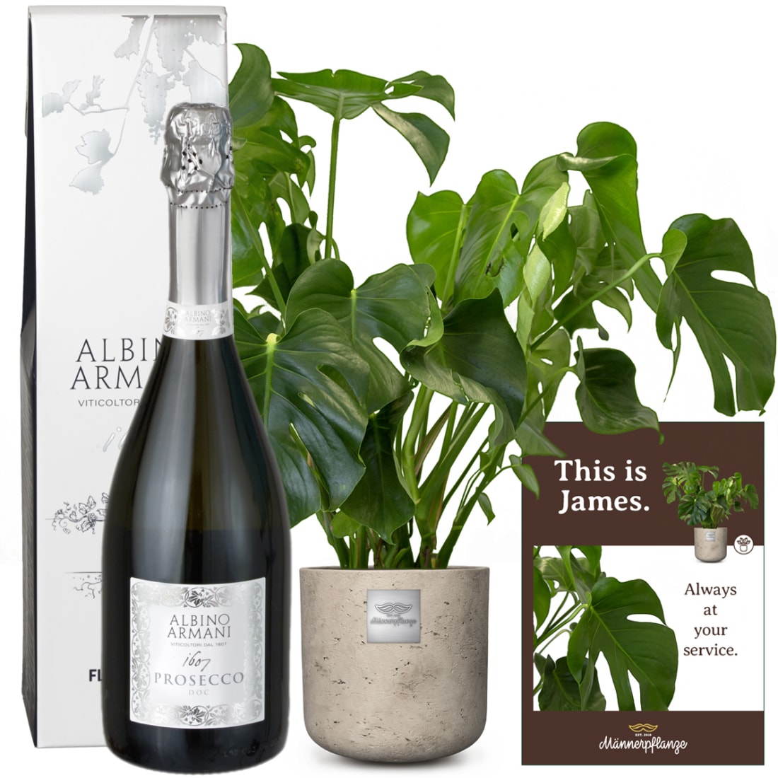 This is James (Monstera) with Prosecco Albino Armani DOC (75 cl) - order  here - same day delivery