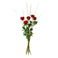 Bouquet de 5 roses rouges - commander ici - livraison encore aujourd'hui
