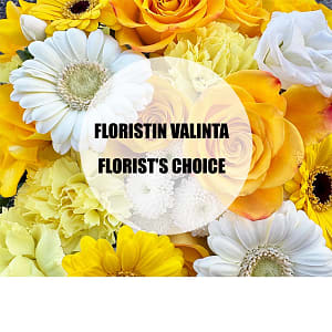 Media 1 - Florist's Choice in yellow