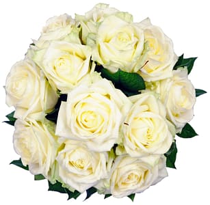 Media 1 - Affection White