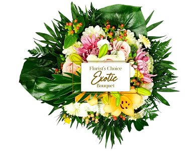Media 1 - Exotica