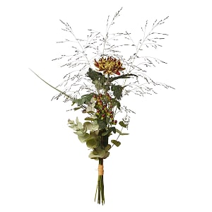 Media 1 - Einzelblume