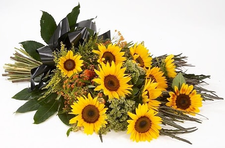 Media 1 - Sympathy SunFlowers