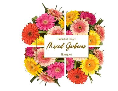 Media 1 - Gerberas Florist Choice Bouquet