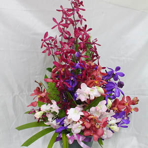 Media 1 - Arrangement with Orchids
