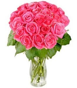 Media 1 - Rosy Reveries